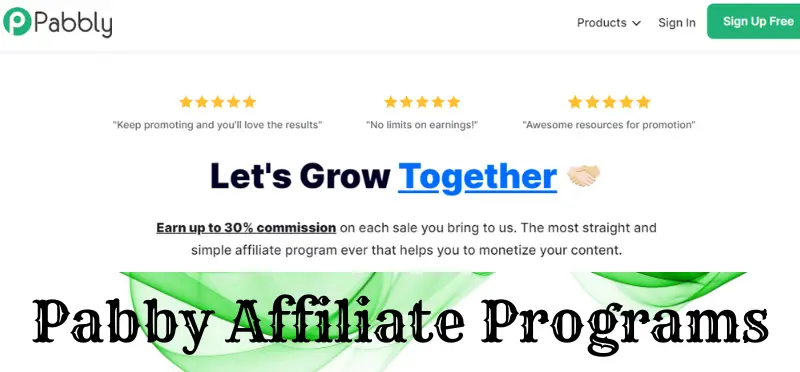 Best High Paying Affiliate Programs for Beginners